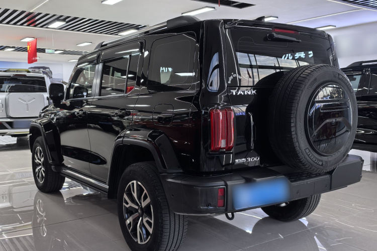 坦克300 2021款 城市版 2.0T 很有型车身外观6002