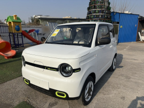 吉利银河 熊猫 2025款 210km 元气熊