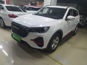 捷途X70 2023款 1.5T 手动超越版 5座