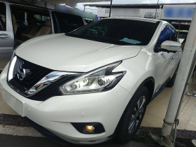 日产 楼兰 2021款 2.5L XL 两驱智联豪华版