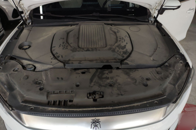 比亚迪 秦PLUS 2023款 冠军版 EV 420KM超越型机舱底盘24