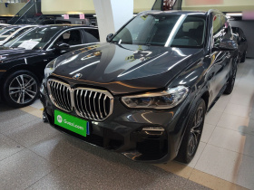 宝马X5(进口) 2020款 xDrive40i M运动套装