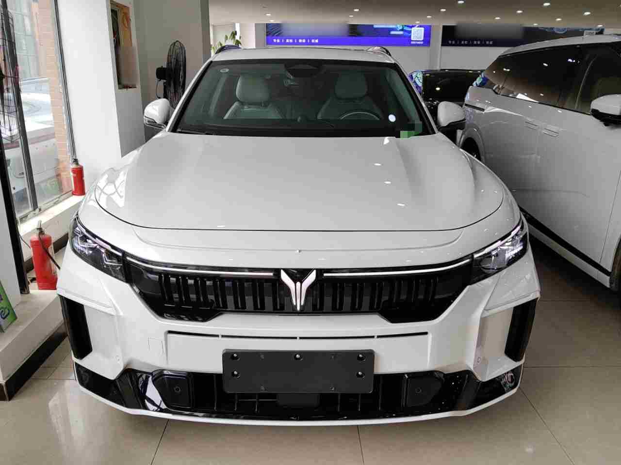 武汉二手岚图FREE 2025款 行情跳水还是底牌大揭秘