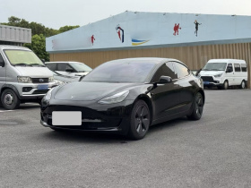 特斯拉 Model 3 2021款 标准续航后驱升级版