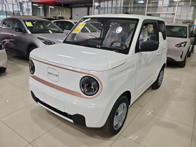 吉利银河 2024款 熊猫mini 200km 耐力熊