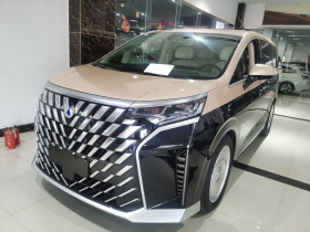 腾势D9 2024款 DM-i 980 四驱尊荣型