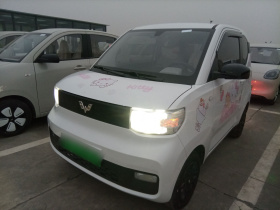 五菱汽车 宏光MINIEV 2022款 轻松款 磷酸铁锂