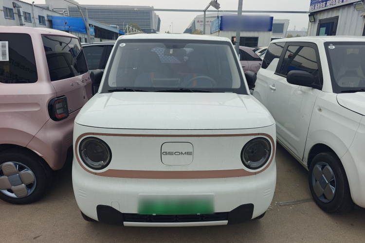 吉利银河 2024款 熊猫mini 200km 耐力熊车身外观2