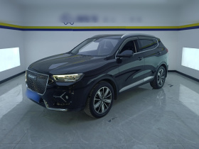 哈弗H6 2021款 1.5GDIT 自动冠军版