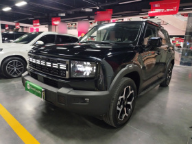 捷途山海T1 2024款 150km 向海