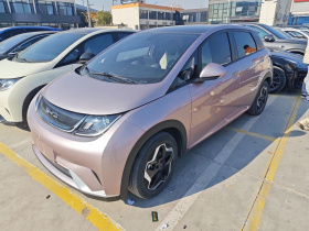 比亚迪 海豚 2021款 405km 时尚版