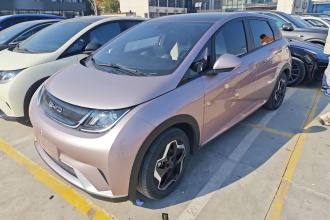 比亚迪 海豚 2021款 405km 时尚版