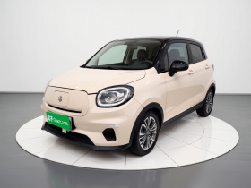 零跑汽车 零跑T03 2021款 400轻享版 磷酸铁锂