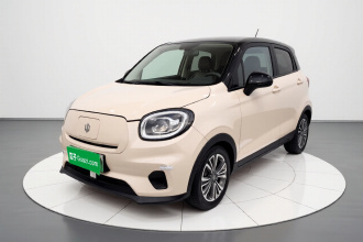 零跑汽车 零跑T03 2021款 400轻享版 磷酸铁锂