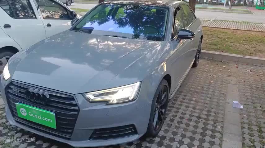 奥迪A4L 2017款 45 TFSI quattro 风尚型检测视频1
