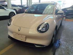 欧拉好猫 2023款 401km标准续航 尊贵型 磷酸铁锂