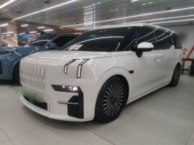 极氪009 2022款 改款 WE版