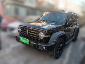 坦克300 2021款 越野版 2.0T 征服者