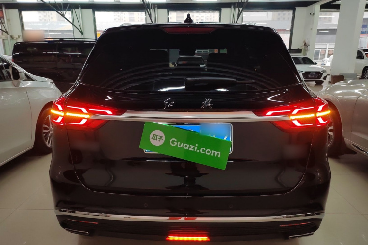 红旗HS5 2022款 改款 2.0T 智联旗享版车身外观6