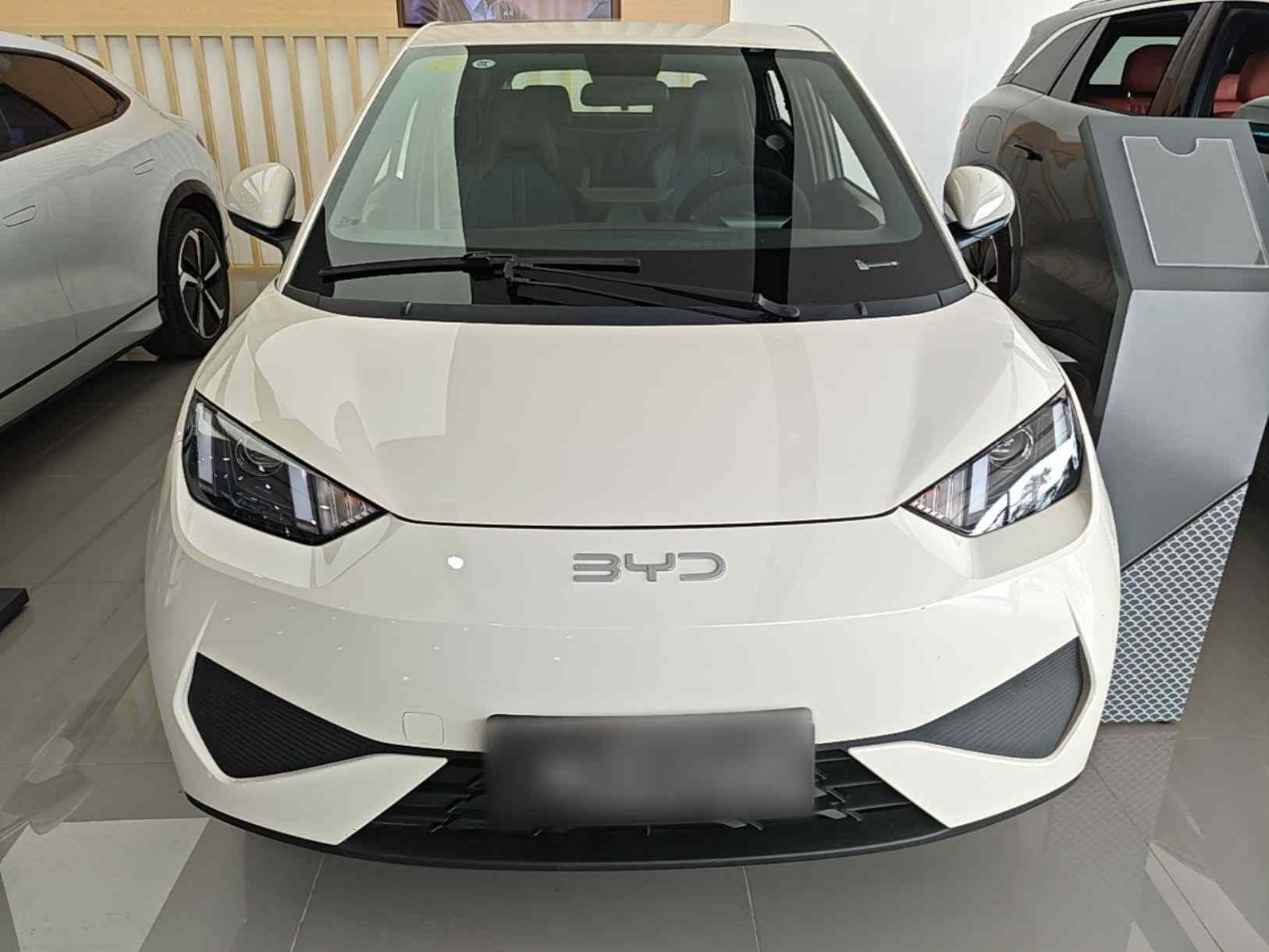 比亚迪 海鸥 2025款 智驾版 305km 活力版(1)