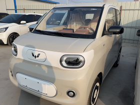 五菱汽车 宏光MINIEV 2024款 第三代 215km 青春版