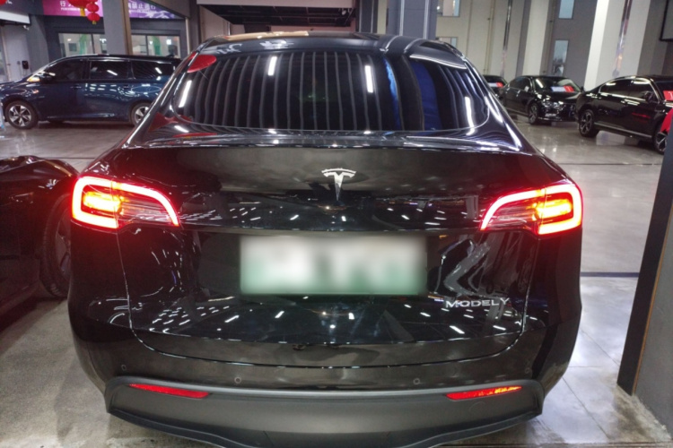 特斯拉 Model Y 2021款 标准续航后驱版车身外观6004