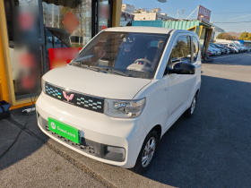 五菱汽车 宏光MINIEV 2021款 马卡龙时尚款 磷酸铁锂