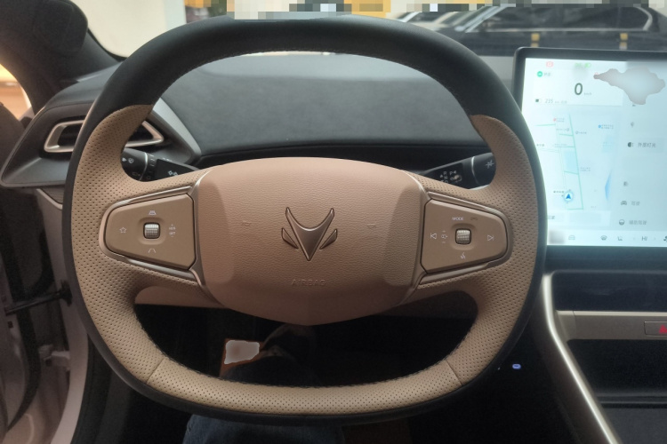 ARCFOX极狐 极狐 阿尔法S5 2024款 560PRO 185kW局部细节13