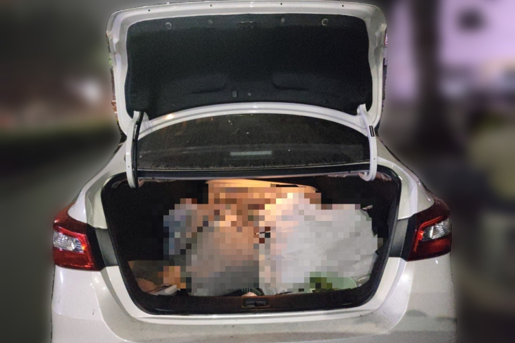 日产 轩逸 2022款 经典 1.6XL CVT豪华版中控内饰23