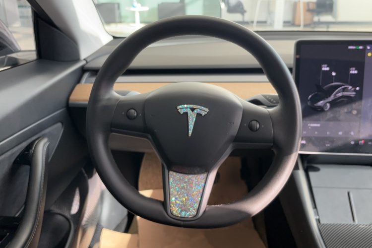 特斯拉 Model 3 2020款 长续航后轮驱动版局部细节13