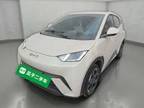 比亚迪 海鸥 2024款 荣耀版 305km 自由版