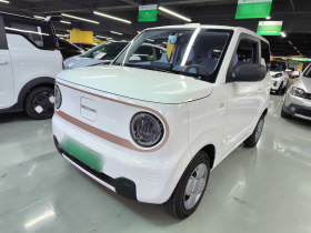 吉利银河 2024款 熊猫mini 200km 耐力熊