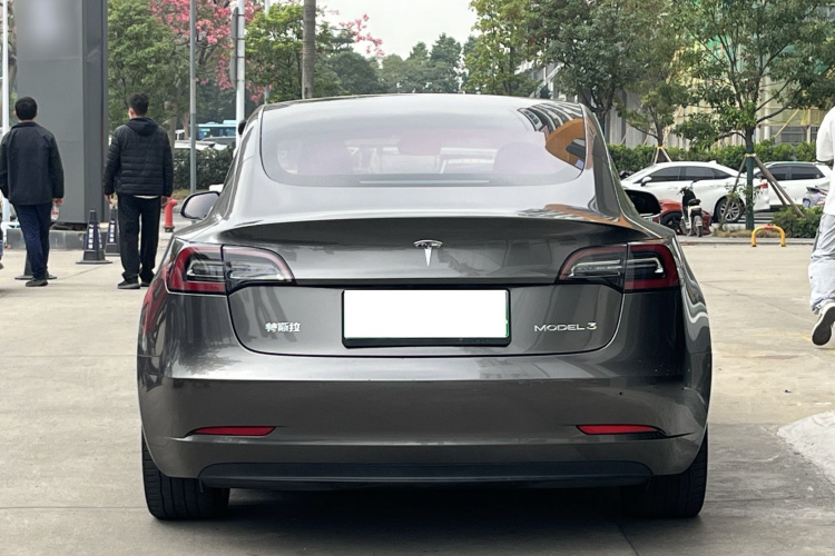 特斯拉 Model 3 2019款 标准续航后驱升级版车身外观6008