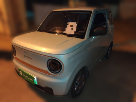 吉利银河 2024款 熊猫mini 200km 龙腾版