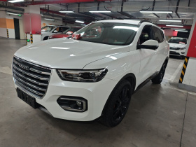 哈弗H6 2020款 2.0GDIT 自动GT冠军版