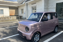 吉利汽车 2023款 熊猫mini 200km 耐力熊