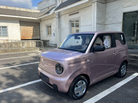 吉利汽车 2023款 熊猫mini 200km 耐力熊