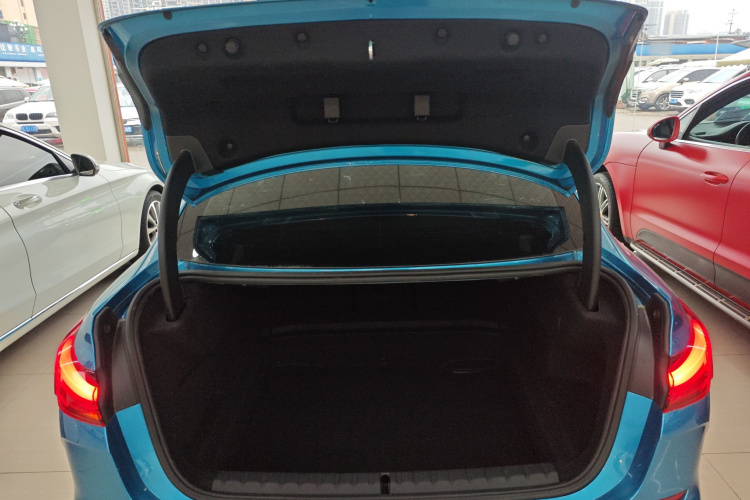 宝马2系(进口) 2021款 225i 四门轿跑车 M运动曜夜套装局部细节23