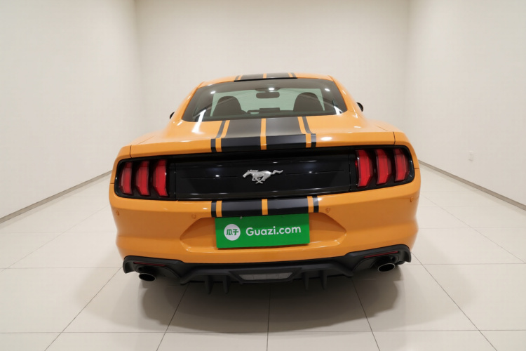 SHELBY GTE 2018款 2.3T 基础版车身外观6