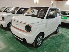 吉利银河 2024款 熊猫mini 200km 耐力熊
