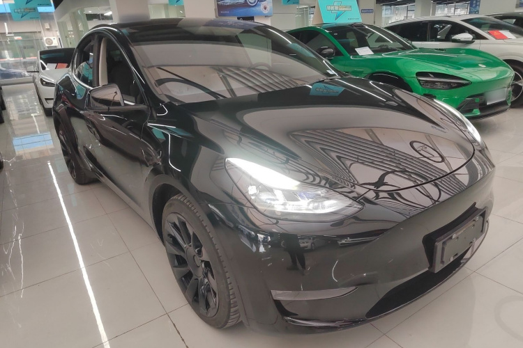 特斯拉 Model Y 2021款 标准续航后驱版车身外观6002