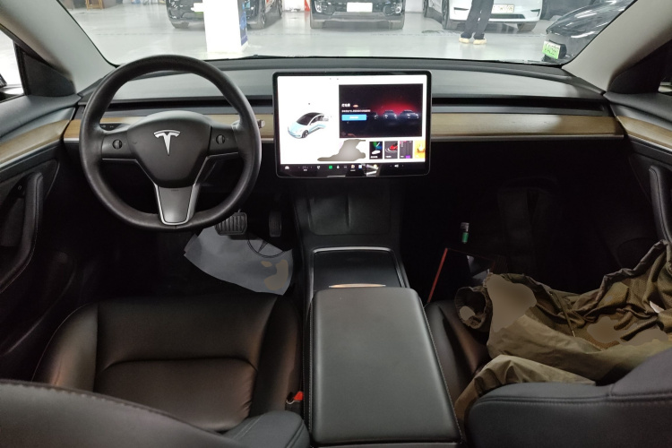 特斯拉 Model 3 2021款 标准续航后驱升级版 3D6中控内饰12