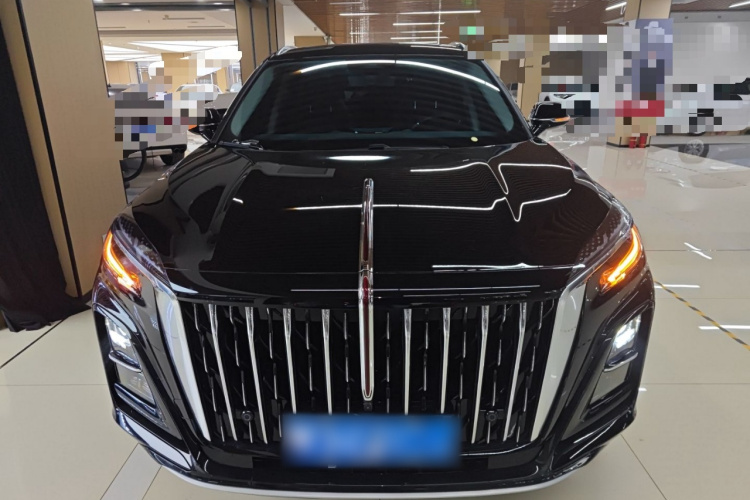 红旗HS3 2024款 1.5T 善为版车身外观2