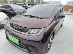 比亚迪 海豚 2023款 420km 时尚版