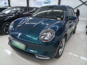 欧拉好猫 2023款 401km标准续航 尊贵型 磷酸铁锂