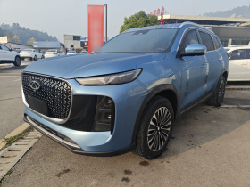 奇瑞 瑞虎8 PLUS C-DM 2025款 1.5T 116km 尊贵型 5座