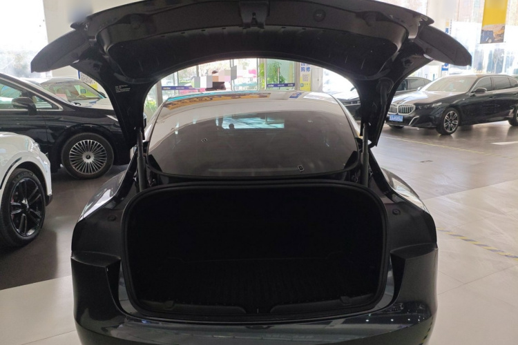 特斯拉 Model 3 2023款 后轮驱动版机舱底盘23
