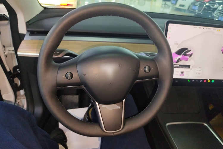 特斯拉 Model 3 2022款 后轮驱动版中控内饰13
