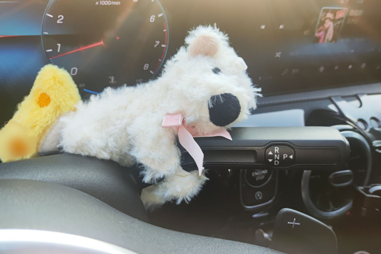 奔驰A级 2021款 A 180 L 运动轿车局部细节18