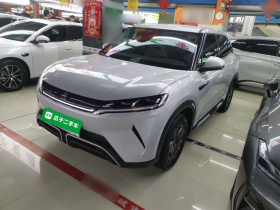 比亚迪 元UP 2024款  401KM 活力版